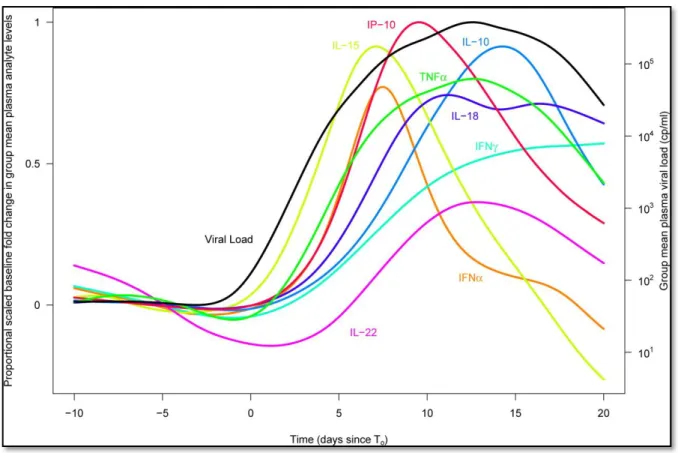 Figure 4: The cytokine storm associated with HIV replication (Adapted from Stacey AR  et al, 2009)