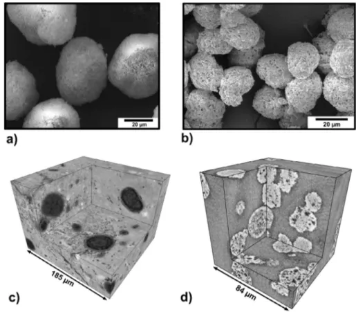 Fig. 1. MgO granules observed by SEM and XCMT. (a) SEM image of MgO granules sorted at 30 l m diameter