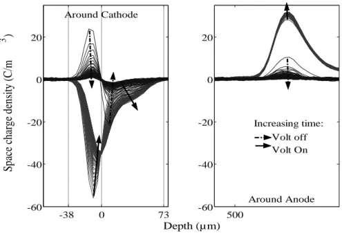 Figure  3: Space charge profiles around anode and cathode during the polarization (1h)  / relaxation  (1h)  cycle, for an  un- un-coated  sample
