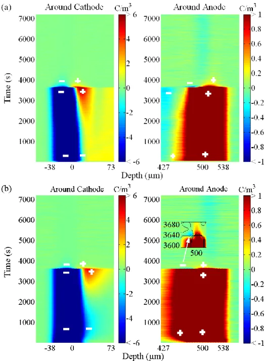 Figure 8: Cartographic vision of space charge density in the vicinity of the electrodes, obtained under 40kV/mm (t&lt;3600s)  and in volt-off (t&gt;3600s) on a pure epoxy sample at 72°C