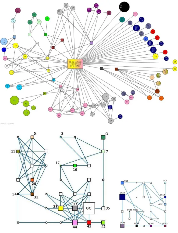 Fig. 9. Comparison of the representation of the graph through perfect communities and self-organizing maps (left : of the whole graph; right : of the largest cluster of the initial SOM