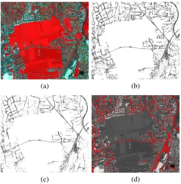 Fig. 15. Road network extraction on sample Pleiades images: (a) original image of St-Jean-de-Luz c CNES 2013, Distribution Airbus DS and (b) extracted road network; (c) original image of Lorient c CNES 2012,  Dis-tribution Airbus DS and (d) extracted road 