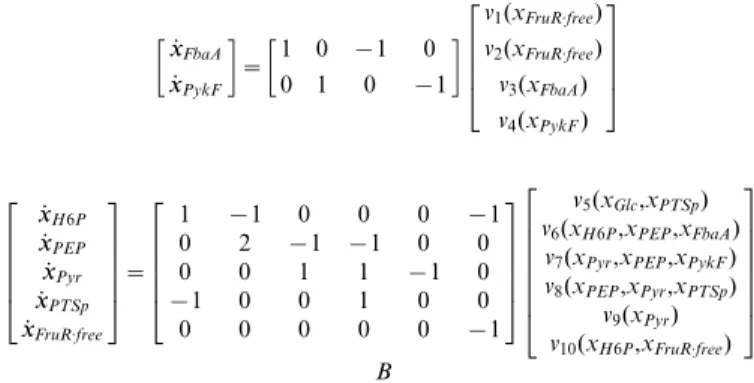 Figure 3. Simplified glycolysis model, adapted from [30], including the genetic regulation of enzyme expression by FruR