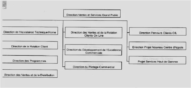 Figure 3 : Organigramme de l’entité « Direction Ventes et Services Grand Public » 