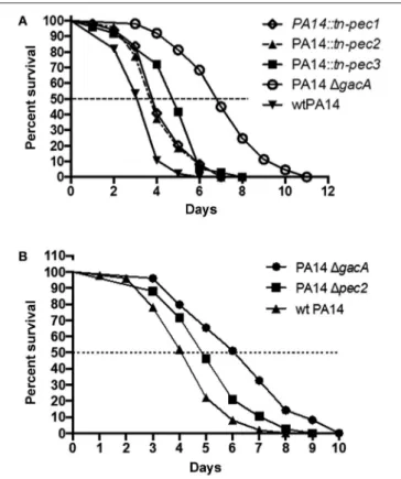 FIGURE 5 | Involvement of Pec1, Pec2, and Pec3 in PA14 virulence in the C. elegans model