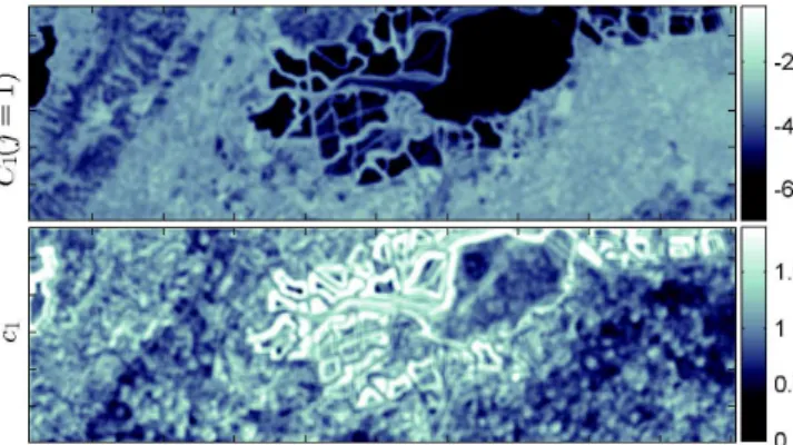 Fig. 5. Pixel-wise map of the first order cumulant C 1 (1) (top) and log-cumulant c 1 (bottom) on Moffett data set for band # 44.