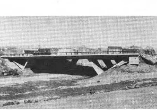 FIG.  1.  View  o f   Ottawa  River  Parkway  Service  Road  Bridge, looking N W .  