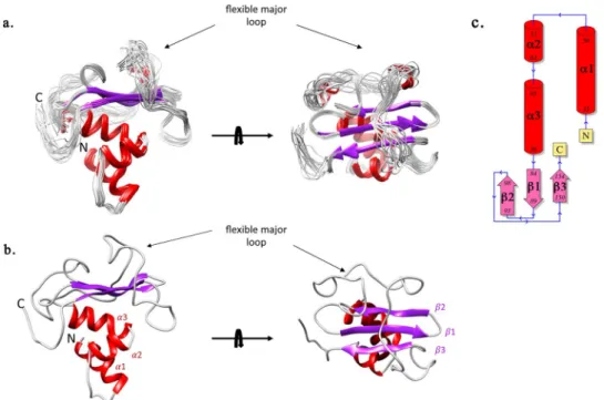 Figure 4.  15 N NMR backbone relaxation data of GacS PD . (a) Per residue  15 N T 1  longitudinal relaxation times