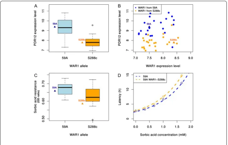 Figure 9 Control of sorbic acid resistance by WAR1 allele. (A) Box plot showing WAR1 allele effect over PDR12 expression level in the population