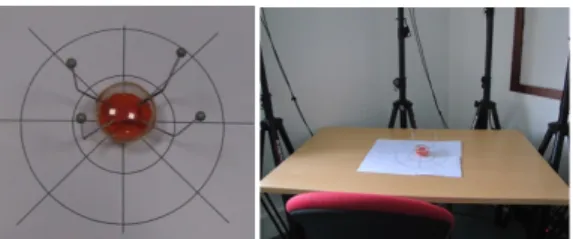 Figure 6. Study setup: distances and directions were drawn on  the surface. 