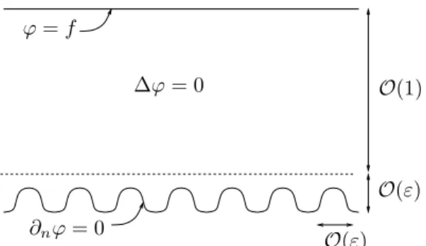 Figure 1: Domain Ω ε and the boundary conditions on ϕ.