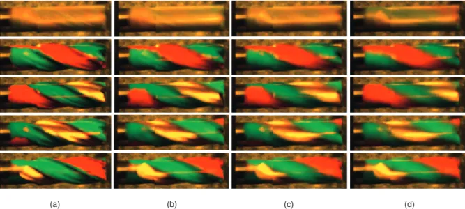 Fig. 16. Demonstration of CSC at upsampling factor U ¼ 100 using Dragonfly2. (a) Captured image from a 10 fps CSC (Dragonfly2).