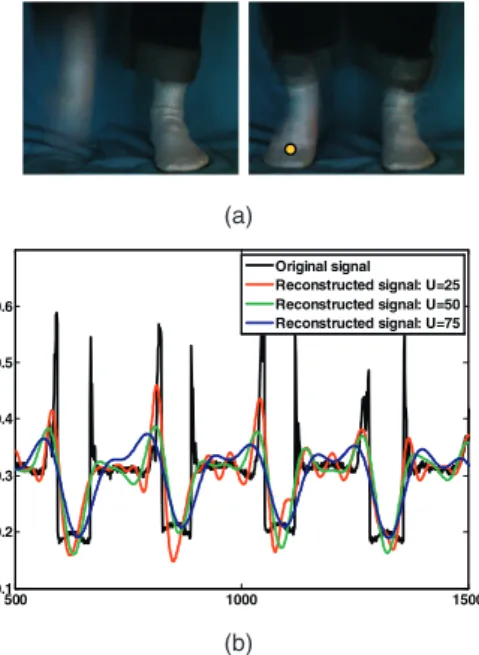 Fig. 17. Frontal scene of a person jogging in place. (a) A frame captured by a normal camera (left) and one of the frames recovered from coded strobing capture at U ¼ 25 (right)