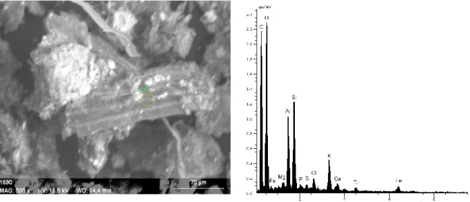 Fig. 8: Scanning electronic microscopy and EDS analyses of the cow-dung 