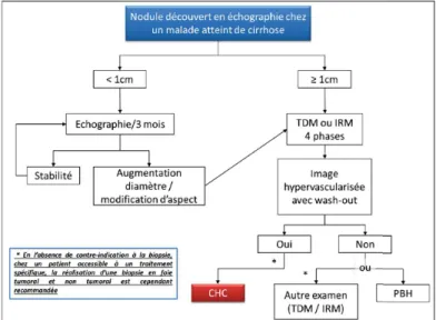 Figure 1.3 – Recommandations pour le diagnostic du carcinome hépatocellulaire à partir d’un nodule découvert en échographie chez un patient cirrhotique.