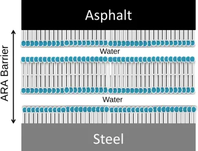 Figure 7 Hypothetical amphiphilic structure for MUG and MUDG formulations  retaining water and functioning as barriers between the asphalt and the steel plate they  are applied to (Nyame Mendendy Boussambe et al., 2017) 