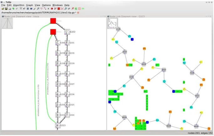 Figure 8: The green edges in the derivation tree (the graph on the left and the green edges are the edges on the left of this graph) represent the start and end of previously applied strategies