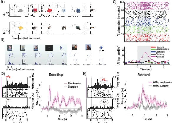 Figure 2: Abstract semantic representations and their role in episodic retrieval.  (A-C)  Example of visually selective neurons with tuning compatible with semantic representations