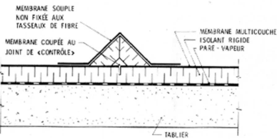 Figure 1. Joint de «contrôle» de membrane.