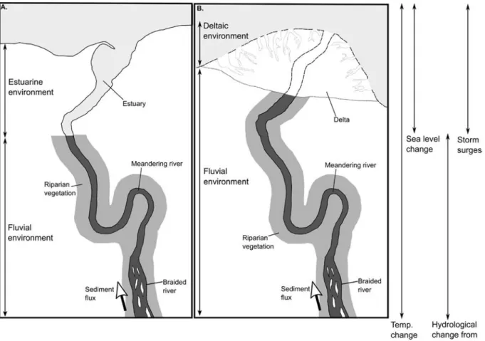 Fig. 1. Schematic diagram to highlight the environments within the scope of this review paper, with an estuarine environment shown in (A) and a deltaic en- en-vironment shown in (B)