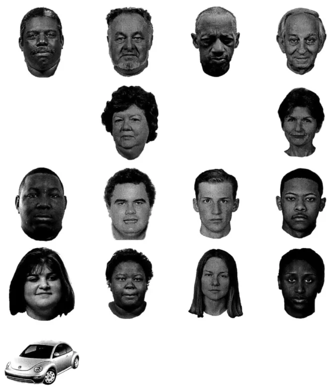 Figure  4-1:  Stimulus  set  used  in  study  of  FFA  response  to  faces.  The  set  includes pictures of sixteen  faces  and  one  car