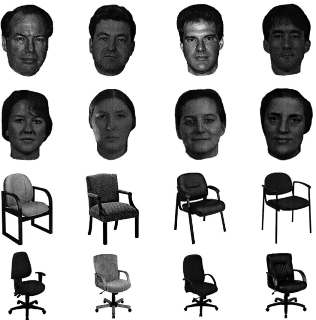 Figure  5-1:  Examples  from  stimulus  set  used  in  study  of  FFA  response  to  gender.