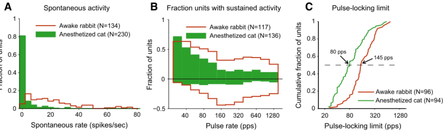 Figure 8. Comparison between response properties of sample IC neurons from awake rabbit and anesthetized cat