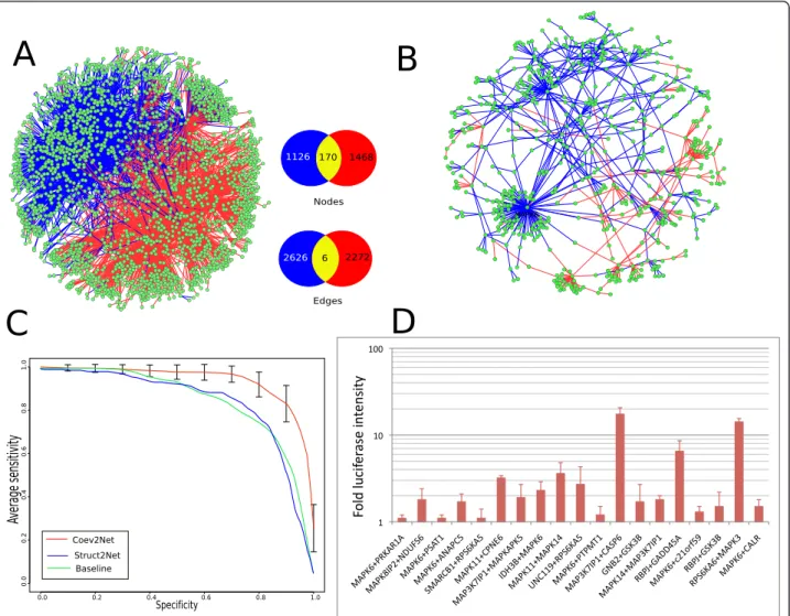 Figure 3 MAPK interactome analysis and validation. (a) Overlap of the Vinayagam (blue) and Bandyopadhyay (red) datasets (left)