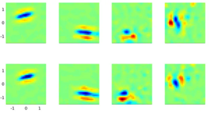 Figure 2. The initial receptive fields are randomly connected to the LGN maps. As synapses are strengthened and pruned through learning, we observe the emergence of Gabor-like, binocular receptive fields.