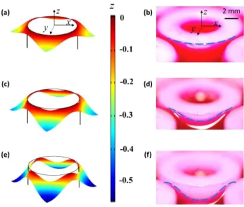 Fig. 1  Model solution and experimental observation of the capillary surface around a cylindrical pillar in  a square array: (a) and (b) Regime (I) fully pinned mode; (c) and (d) Regime (II) partially pinned mode; (e)  and (f) fully mobile mode