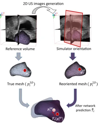Figure 3. TRE-based evaluation using meshes: Reference mesh and reoriented mesh associated with the current US slice.