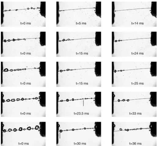 Fig. 12. Photographs of relaxation for tests 6 to 10; each line corresponds to one test; tests are ordered 6–10 and from top to bottom (top = test 6); t ¼ 0 corresponds to the end of the pulse; for tests 9 and 10, the arrows point to the initial position o