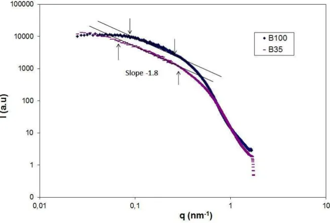 FIG. 1. Small Angle XRay Scattering graph for B 35 and B 100 aerogels corresponding to our samples