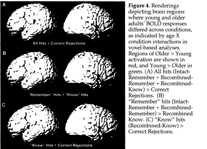 Figure 4. Renderings depicting  brain  regions where  young  and older adults'  BOLD responses differed  across conditions, as indicated  by age X