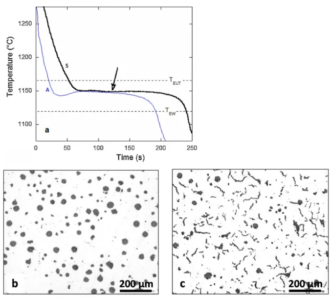 Fig. 3 – Inoculated samples: cooling curves of trials A and S (a), and micrograph of samples A inoc (b) and S inoc (c)