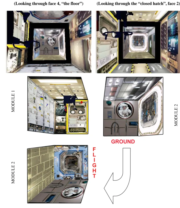 Figure 3-3 Difference between the Flight and Ground configurations, as seen by the subject (top) at the  beginning of a phase and during feedback after each trial of Phase 3-- and from an outside point-of view 