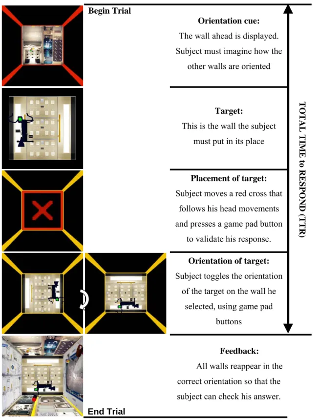 Figure 3-4 Schematic of a 3D training trial in a single module (module 1 in this example)
