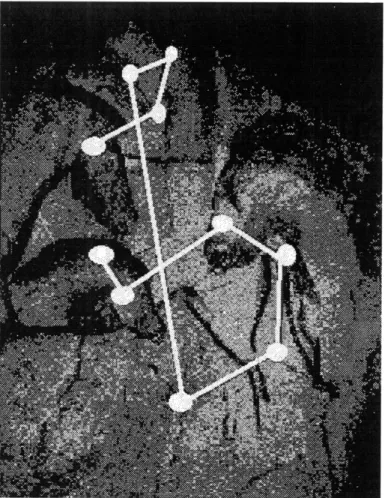 Figure 6.  Scanpath  (Privatera, 1999).