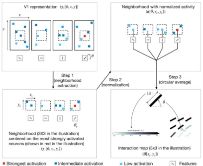 Fig 4. Illustration of the procedure to generate interaction map. In this illustrative example we consider a V1 representation with only 4 feature maps (represented in the upper-left box)