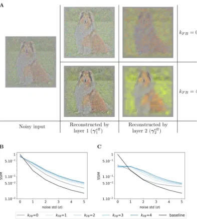 Fig 10. Effect of the feedback strength on noisy images from natural images database. (A) In the left column, one image is corrupted by Gaussian noise of mean 0 and a standard deviation of 2 (σ)