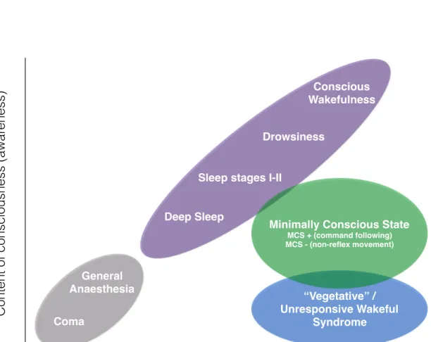 Figure 1.1: Simplified illustration of the two major components of consciousness: the level (wakefulness) and the content of consciousness (awareness)