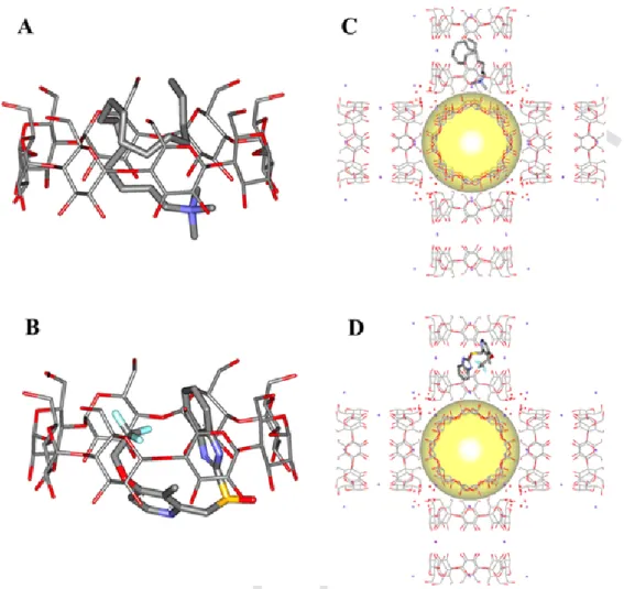 Fig. 9. Simulated configurations of CTAB (A, C) and LPZ (B, D) in monomeric γ-CD (A, B) and in γ-CD-MOF (C, D)