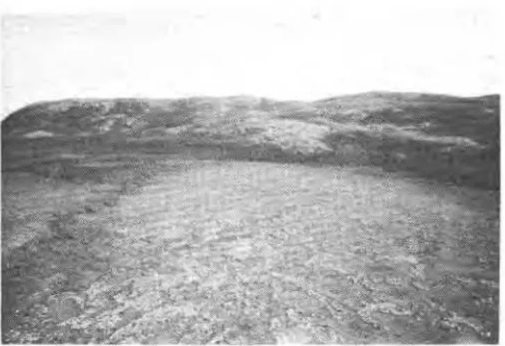 FIGURE  3.  Typical  palsa  located  40  km south  of  Poste-de-la-  Baleine. It  is  15  m long  by  9  m wide and  2,5 m high with vege-  tative  cover  of  hummocky  Sphagnum  and  lichen  below  which  is  peat  0,9  m  thick  overlying  silty  fine  s