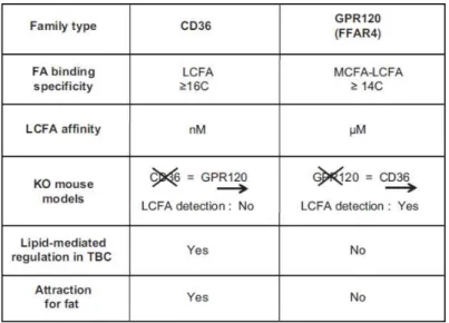 Figure 8. Comparison  of the main characteristics of CD36 and GPR120 in the mouse. FA, fatty acid; 