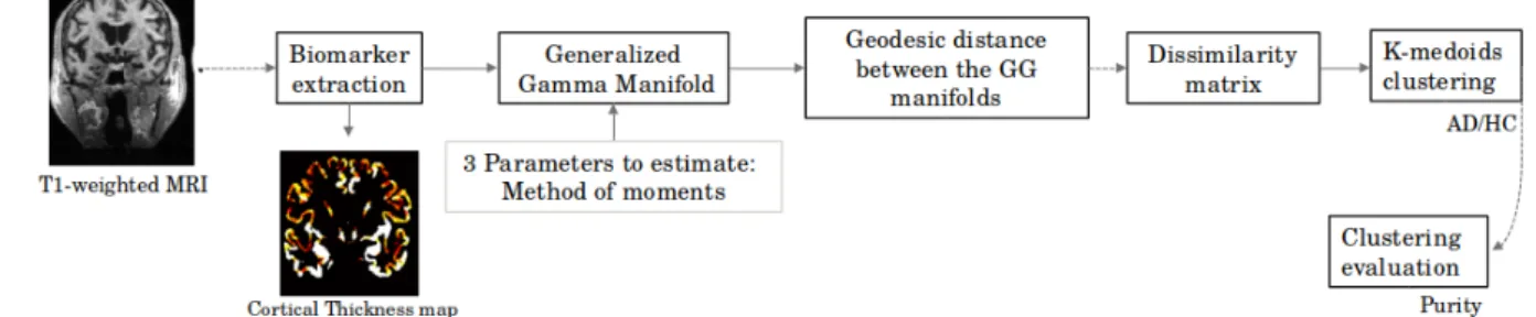 Figure 1. General scheme of the proposed approach