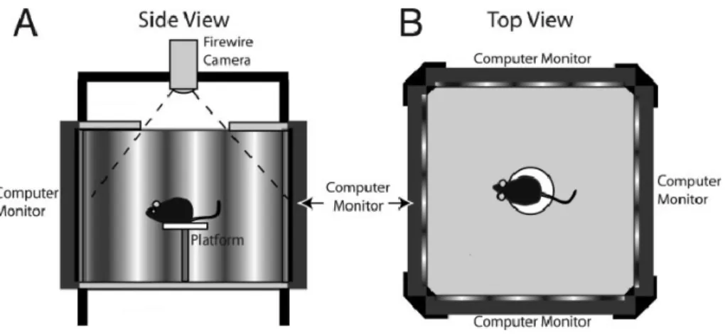 Figure 11. OptoMotry system. A) Side view. The mouse is placed on an elevated platform, with computer  monitors  on  each  side
