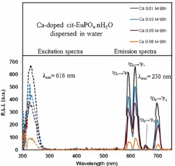 Fig. 7. Excitation (dashed  line) and  emission (solid  line) spectra of Ca-&lt;loped cit­