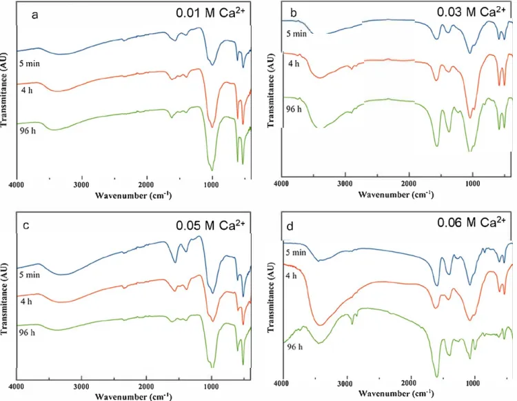 Table  1  gathers  the compositional  information relative to the  samples.  ln  particular  two  interesting  findings  can  be  pointed  out:  (i) while the P wt% remained almost  constant  in all samples,  the Ca wt% increased and the content of Eu acco