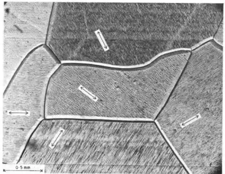 Fig. 1-Optical  micrograph of  replica of  etched horizontal section of S-2 ice  showing the random c-axis orientation  of a few grains, as indicated by the  arrows 