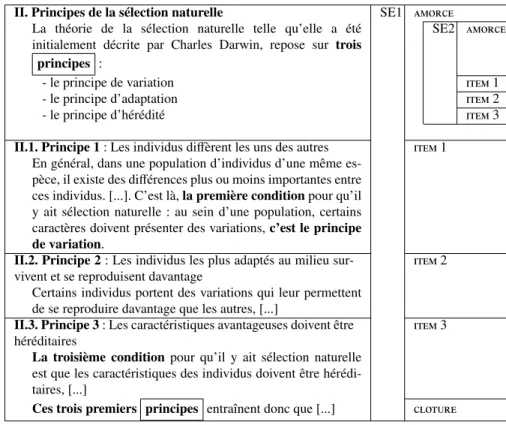 Figure 8. Portion de texte annotée en structures multi-échelles. Cet extrait est celui annoté en relations rhétoriques (Fig